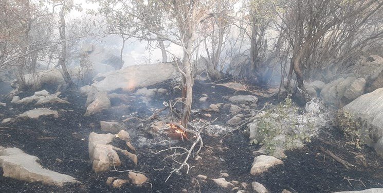 تصویری ازحضور استاندار کهگیلویه و بویراحمد در مهار آتش سوزی کوه نیر