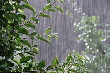 پیش بینی سامانه بارشی در آسمان کهگیلویه و بویراحمد