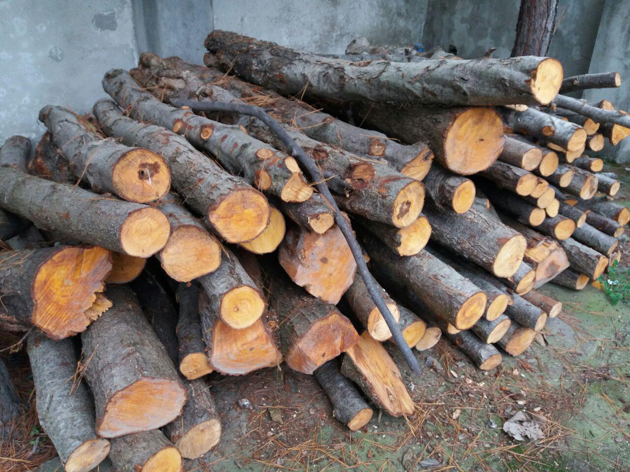 توقف محموله چوب‌های جنگلی غیر مجاز در ممسنی