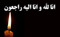 فارس؛ آسمانی شدن پدر شهید در خفر