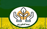 مدیر جهاد کشاورزی کهگیلویه گفت: مهلت ۱۵ روزه کشاورزان برای بیمه محصولات کشاورزی