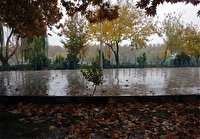 نصف جهان با باران نفس تازه کرد