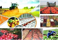 مدیرکل استاندارد استان؛ صدور پروانه کاربرد نشان حد مجاز آلاینده‌ها