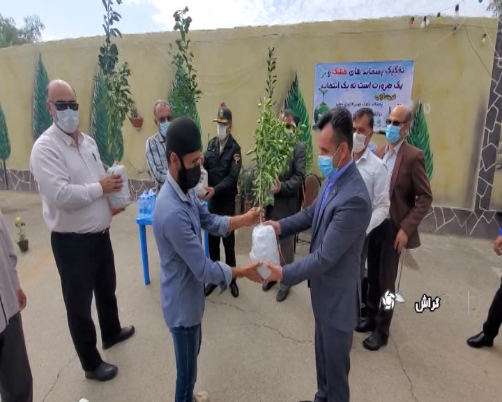 با تحویل پسماند درخت هدیه بگیرید