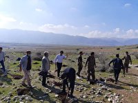 در هفته منابع طبیعی؛ غرس ۵۸ هزار اصله نهال در گچساران