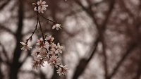 در قاب تصویر زیبایی‌های چهار فصل نصف جهان