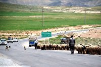 قبل از ۱۵ اردیبهشت ورود عشایر به مناطق ییلاقی بویراحمد ممنوع است