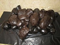 سوداگر مرگ در لارستان دستگیر شد
