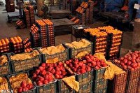 طرح تنظیم بازار توزیع ۱۲۰۰ تن میوه بدون واسطه در فارس