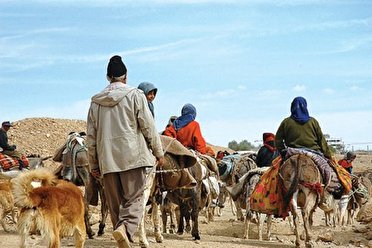 آغاز کوچ بهاره عشایر فارس