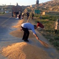 در اقدام خودجوش؛ همکاری مردم فشیان چرام در جمع آوری بارِ خودروی واژگونی شده