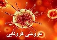 بازداشت برگزارکنندگان مراسم عروسی در دنا