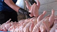 مدیر کل تعزیرات حکومتی استان فارس: رسیدگی به ۱۷۰ پرونده گرانفروشی مرغ در فارس