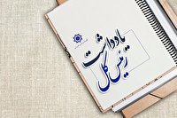 همتی تاکید کرد خطای فاحش صندوق بین‌المللی پول از میزان ذخایر ارزی ایران