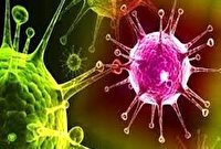 کهگیلویه و بویراحمد؛  افزایش شمار مبتلایان کرونا در استان