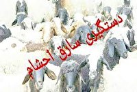 دستگیری سارق مسلح احشام در کهگیلویه 