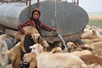 مدیرکل امور عشایر فارس: اختصاص ۵۷ میلیارد تومان اعتبارات برای آب عشایر فارس