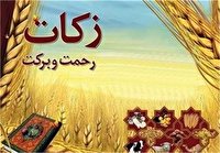 در سه ماه اخیر؛ جمع آوری ۲۳ میلیارد تومان زکات توسط خیران کهگیلویه و بویراحمد