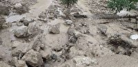 گل آلود شدن منابع تأمین آب شهر یاسوج 