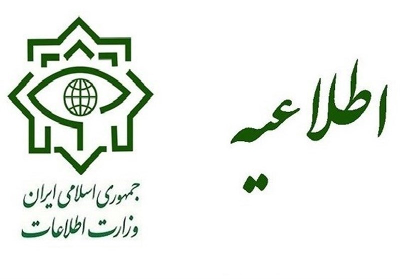 وزارت اطلاعات ده نفر از تروریست‌های داعشی را دستگیر کرد