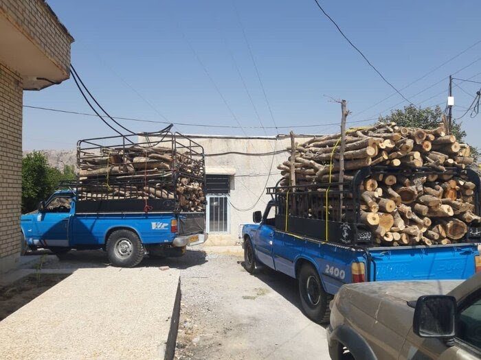 توقف سه محموله چوب قاچاق در شهرستان باشت