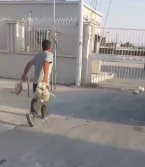 واکنش رئیس اداره برق کهگیلویه به اعتراض مرغدار دهدشتی 