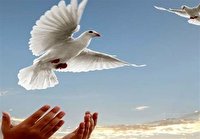 پایان حبس برای ۱۵ زندانی در گچساران