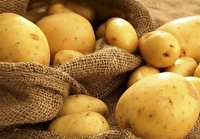 توزیع سیب زمینی وارداتی در استان