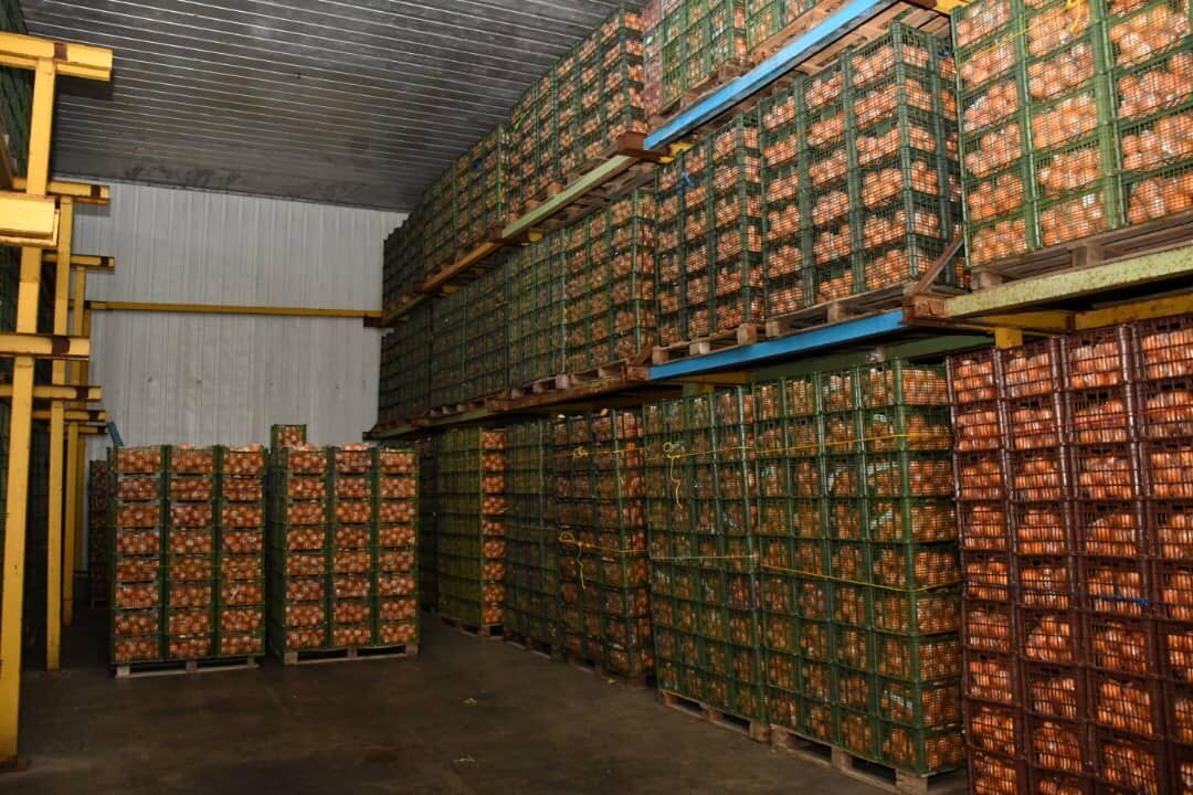۶۰۰ تن میوه شامل پرتقال و سیب همزمان با تعطیلات نوروز سال ۱۴۰۱ در کهگیلویه و بویراحمد توزیع می‌شود.