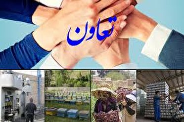 تشکیل تعاونیها بر اساس توانمندی موجود در استانها
