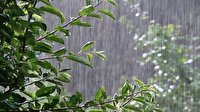 بارش های امسال بیشتر از سال زراعی گذشته