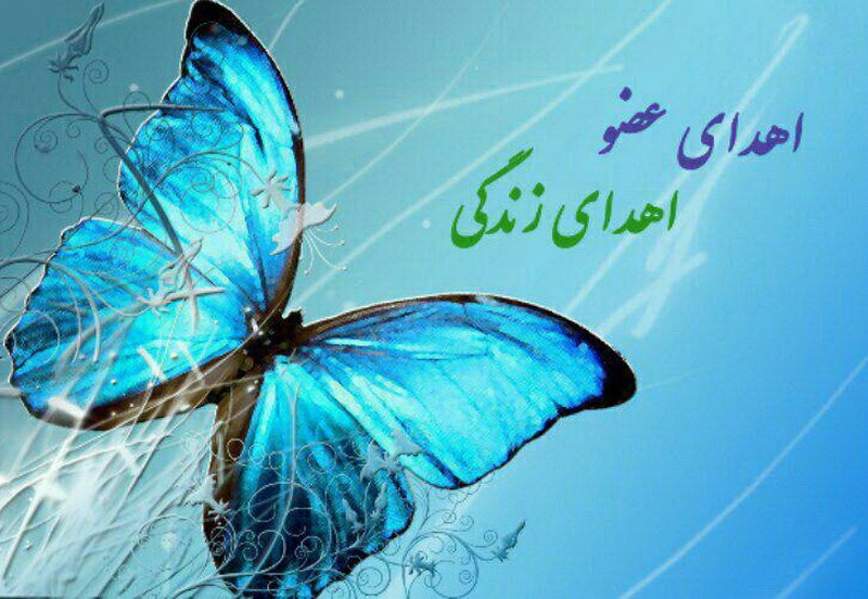 از ابتدای امسال تاکنون؛ چهارمین اهداء عضو در کهگیلویه بویراحمد