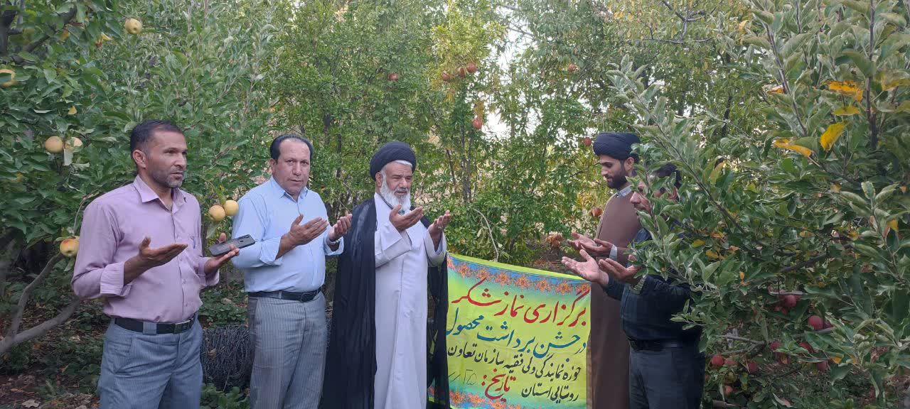برگزاری جشن شکرگزاری برداشت سیب در منطقه کریک 