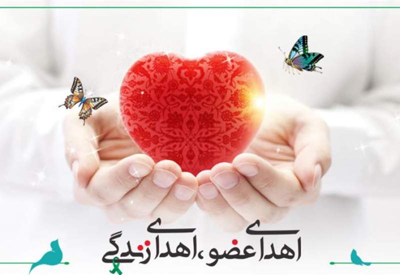 ثبت نخستین اهدای عضو استان در سال۱۴۰۲اهدای عضو کودک ۷ ساله کهگیلویه و بویراحمدی