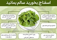 سبزی همه فن حریف اسفناج، دنیایی از خواص و فواید بی نظیر